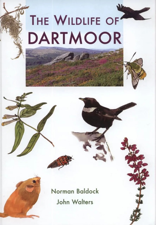 Book cover for The Wildlife of Dartmoor by Norma Baldock and John Walters