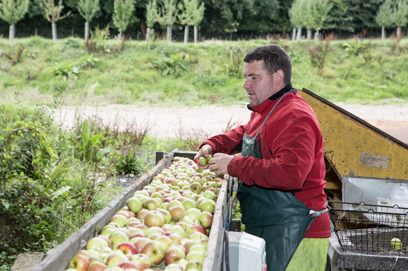 Hunts Cider Farm